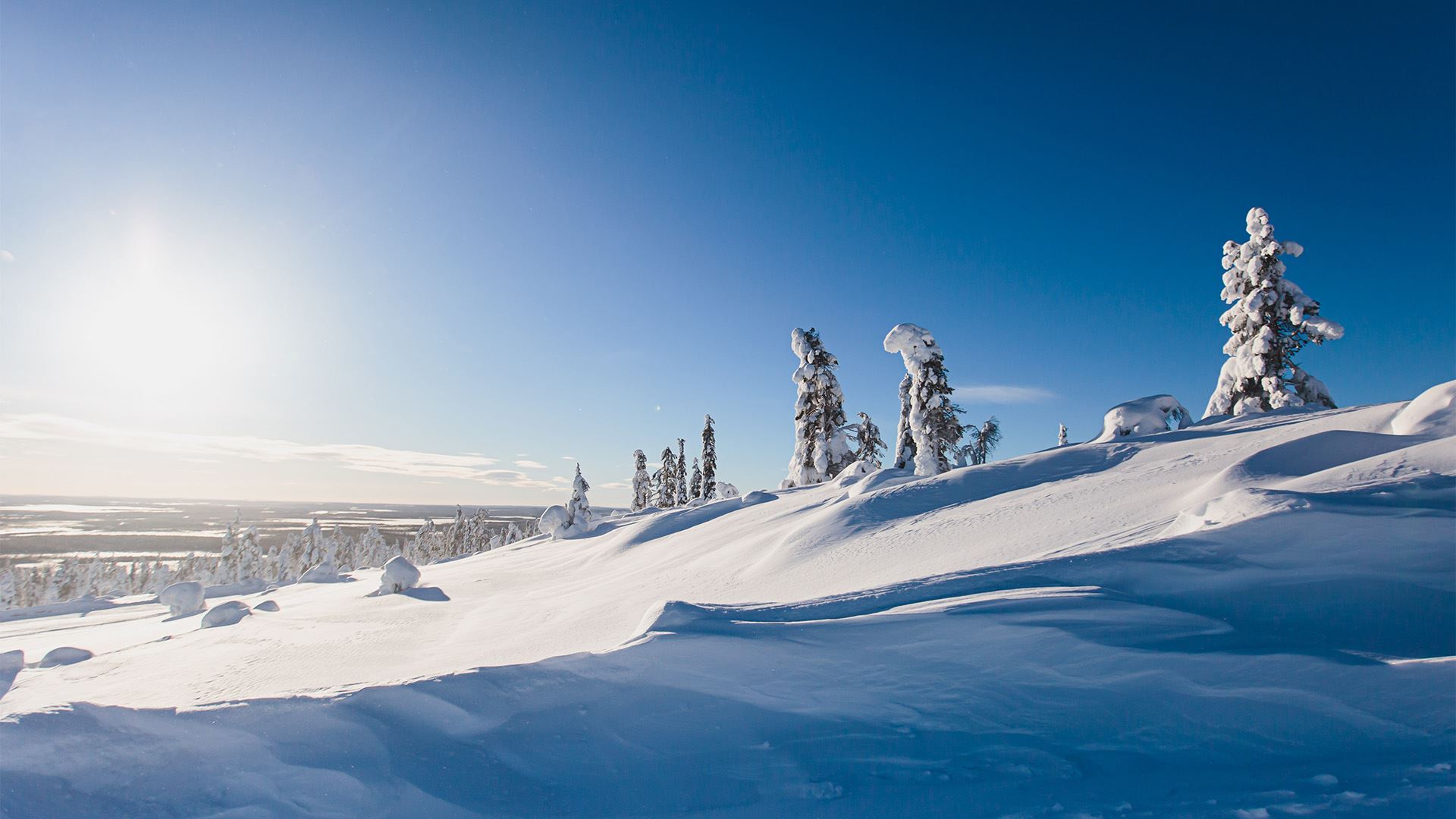 levi_hero_placeholder_1920x1080.jpg