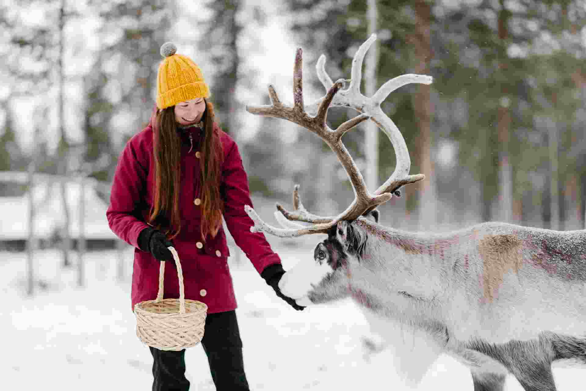 Tekemistä